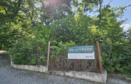 Ocazie! Casa la rosu, cu teren de 9748 mp, zona camping Faget, in padure!