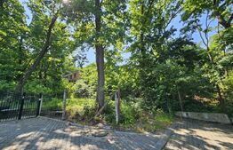 Ocazie! Casa la rosu, cu teren de 9748 mp, zona camping Faget, in padure!