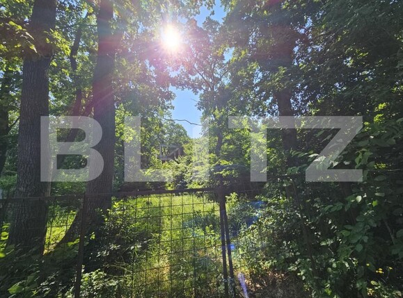 Casa de vânzare 10 camere Făget - 170164CV | BLITZ Cluj-Napoca | Poza8