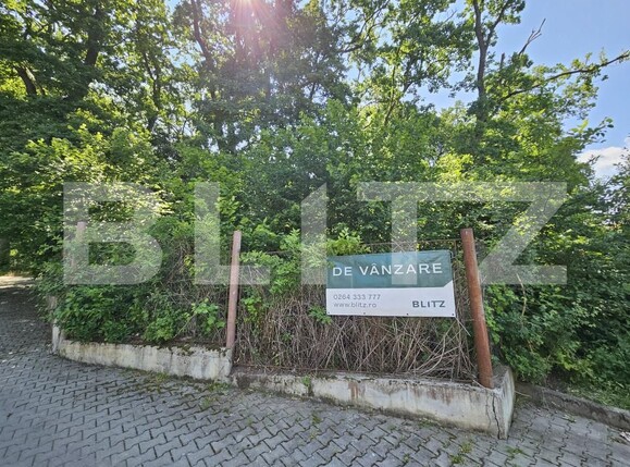Casa de vânzare 10 camere Făget - 170164CV | BLITZ Cluj-Napoca | Poza2