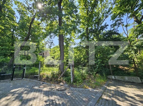 Casa de vânzare 10 camere Făget - 170164CV | BLITZ Cluj-Napoca | Poza3