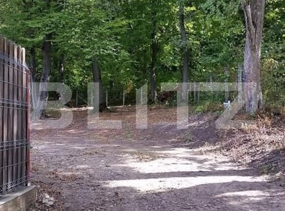 Casa de vânzare 10 camere Făget - 170164CV | BLITZ Cluj-Napoca | Poza6