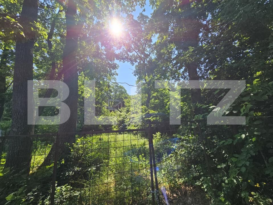 Casa de vânzare 10 camere Făget - 170164CV | BLITZ Cluj-Napoca | Poza8