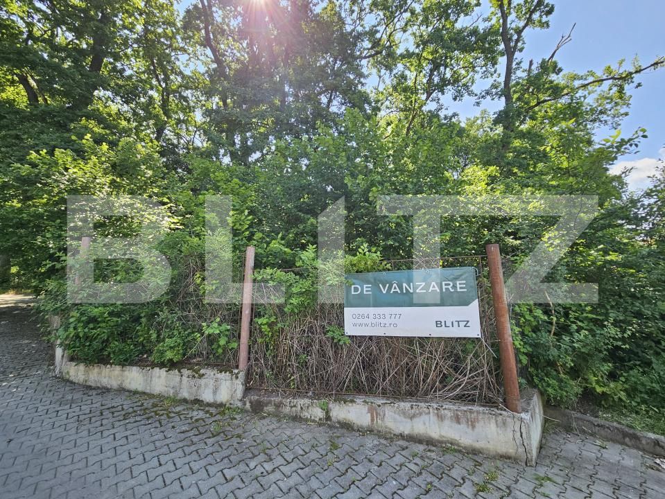 Casa de vânzare 10 camere Făget - 170164CV | BLITZ Cluj-Napoca | Poza2