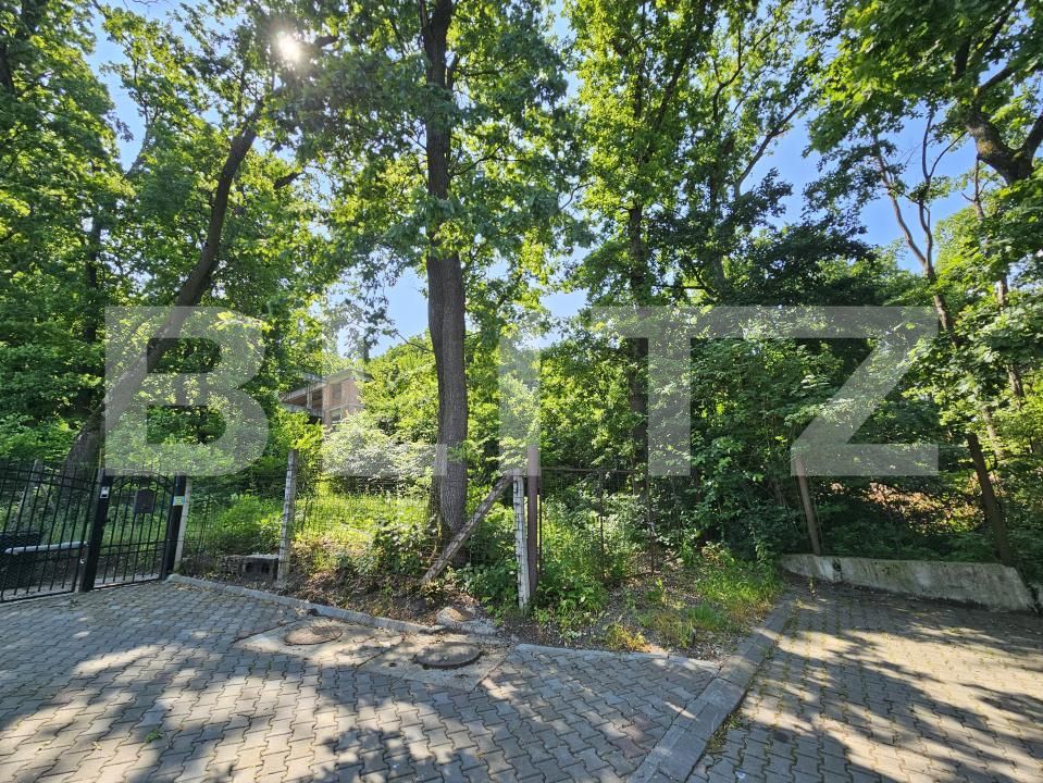 Casa de vânzare 10 camere Făget - 170164CV | BLITZ Cluj-Napoca | Poza3