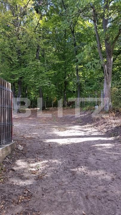 Casa de vânzare 10 camere Făget - 170164CV | BLITZ Cluj-Napoca | Poza6