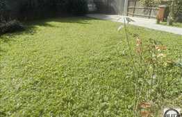 Apartament in imobil tip casa, 85 mp utili, zona strazii Avram Iancu!