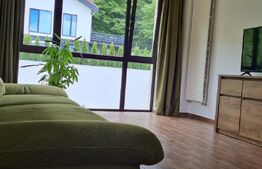 Apartament cu 2 camere, 57 mp, mobilat și utilat, zona Noua