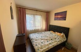 Apartament cu 3 camere, 43 mp, etaj 3 din 4, la cheie, zona Bucium, Manastur