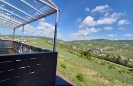 Apartament Ultrafinisat in zona Petrom 