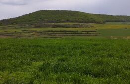 Teren extravilan 3621 mp, in Petrestii de Mijloc