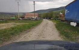 Teren extravilan 3621 mp, in Petrestii de Mijloc