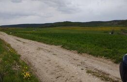 Teren extravilan 3621 mp, in Petrestii de Mijloc