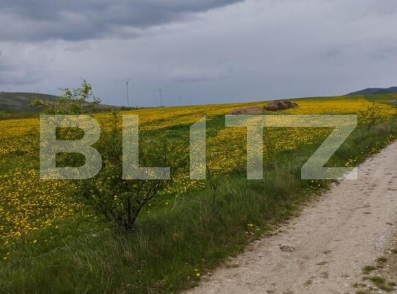 Teren de vânzare Petrestii de Mijloc - 170244TV | BLITZ Cluj-Napoca | Poza2