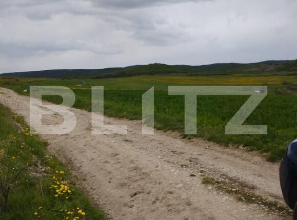 Teren de vânzare Petrestii de Mijloc - 170244TV | BLITZ Cluj-Napoca | Poza4