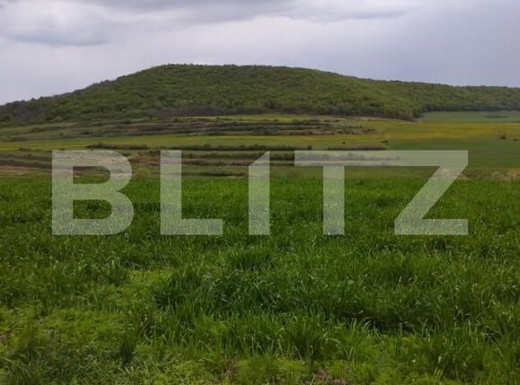 Teren de vânzare Petrestii de Mijloc - 170244TV | BLITZ Cluj-Napoca | Poza1