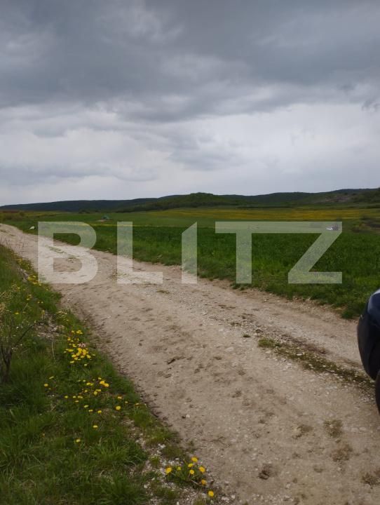 Teren de vânzare Petrestii de Mijloc - 170244TV | BLITZ Cluj-Napoca | Poza4