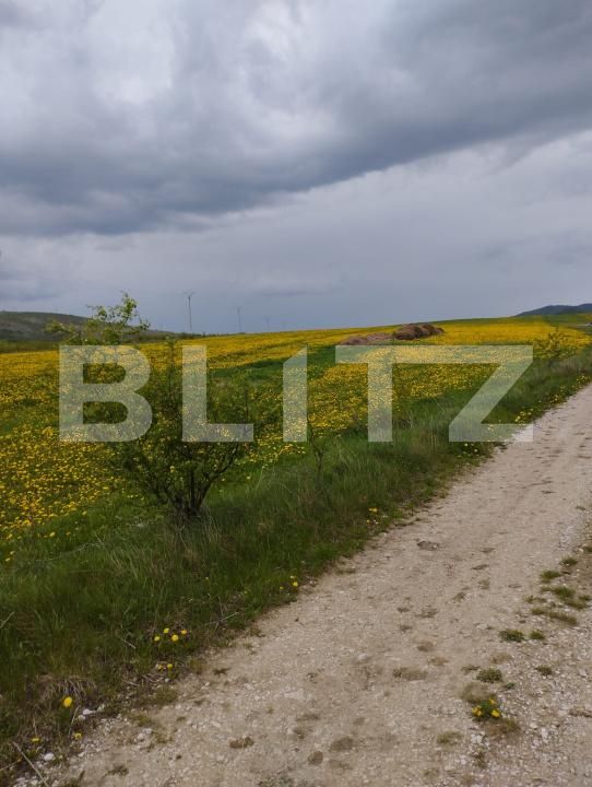 Teren de vânzare Petrestii de Mijloc - 170244TV | BLITZ Cluj-Napoca | Poza2