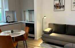 Apartament 2 camere, curte privata, prima inchiriere, 53 mp, parcare, zona Terra