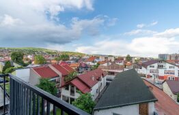 Apartament 1 camera de inchiriat, 36 mp, parcare, Corneliu Coposu