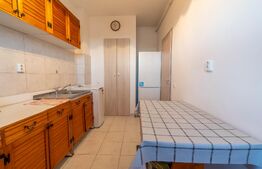 Apartament 1 camera de inchiriat, 36 mp, parcare, Corneliu Coposu