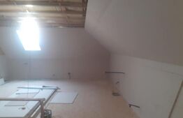 Casa de vacanta in curs de modernizare in Belis, 5 camere, 920mp teren drept