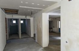 Casa de vacanta in curs de modernizare in Belis, 5 camere, 920mp teren drept