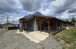 Casa de vacanta in curs de modernizare in Belis, 5 camere, 920mp teren drept
