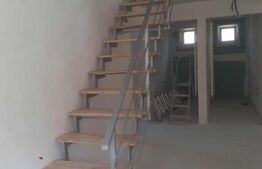 Casa de vacanta in curs de modernizare in Belis, 5 camere, 920mp teren drept