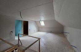 Casa de vacanta in curs de modernizare in Belis, 5 camere, 920mp teren drept