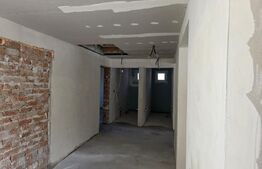 Casa de vacanta in curs de modernizare in Belis, 5 camere, 920mp teren drept