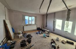 Casa de vacanta in curs de modernizare in Belis, 5 camere, 920mp teren drept