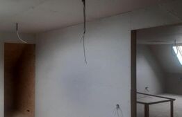 Casa de vacanta in curs de modernizare in Belis, 5 camere, 920mp teren drept