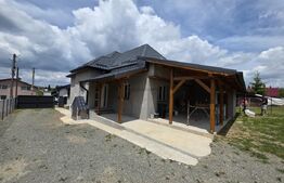 Casa de vacanta in curs de modernizare in Belis, 5 camere, 920mp teren drept