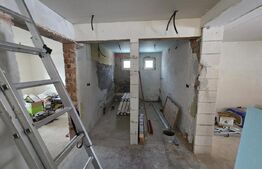 Casa de vacanta in curs de modernizare in Belis, 5 camere, 920mp teren drept