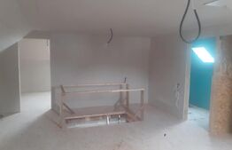 Casa de vacanta in curs de modernizare in Belis, 5 camere, 920mp teren drept