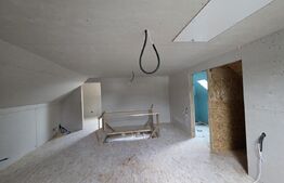 Casa de vacanta in curs de modernizare in Belis, 5 camere, 920mp teren drept