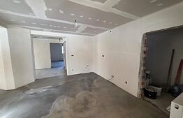 Casa de vacanta in curs de modernizare in Belis, 5 camere, 920mp teren drept