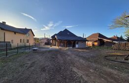 Casa de vacanta in curs de modernizare in Belis, 5 camere, 920mp teren drept