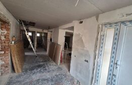 Casa de vacanta in curs de modernizare in Belis, 5 camere, 920mp teren drept