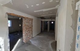 Casa de vacanta in curs de modernizare in Belis, 5 camere, 920mp teren drept