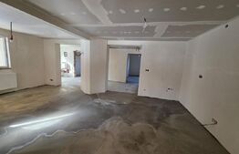 Casa de vacanta in curs de modernizare in Belis, 5 camere, 920mp teren drept