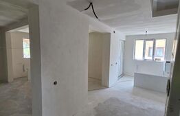 Casa de vacanta in curs de modernizare in Belis, 5 camere, 920mp teren drept