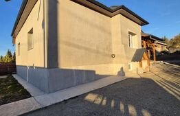 Casa de vacanta in curs de modernizare in Belis, 5 camere, 920mp teren drept