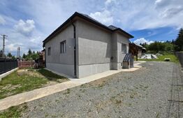 Casa de vacanta in curs de modernizare in Belis, 5 camere, 920mp teren drept