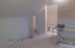 Casa de vacanta in curs de modernizare in Belis, 5 camere, 920mp teren drept