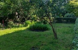 Apartament cu 2 camere, 47 mp, grădină, parcare, zona Dambul Rotund