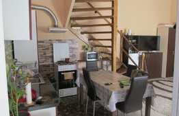 Vanzare apartament 2 camere, 80 mp, imobil tip casa, zona strazii Horea