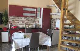 Vanzare apartament 2 camere, 80 mp, imobil tip casa, zona strazii Horea