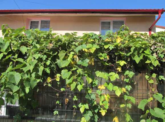 Apartament de vânzare 2 camere Central - 17036AV | BLITZ Cluj-Napoca | Poza2